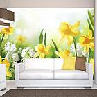 Arkiio Fototapet Spring Walk walk 250x175