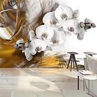 Arkiio Fototapet Orchid On Fire on fire 400x280