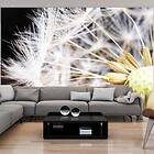 Arkiio Fototapet Fluffy Dandelion dandelion 250x175