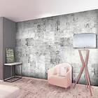 Arkiio Fototapet Concrete: Grey City 250x175