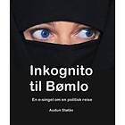 Fikenbladet.no Inkognito til Bømlo: en e-singel om politisk reise