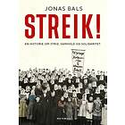 Res Publica Streik!: en historie om strid samhold og solidar