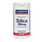 Lamberts Silica 200mg 90 Capsules