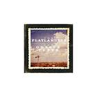 Flatlanders: The Odessa tapes (Ltd) (Vinyl)