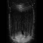 Paysage D'hiver: Im Wald CD