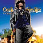 Neville Cyril: Brand New Blues CD