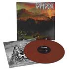 Cancer: Sins Of Mankind (Mahogany) (Vinyl)