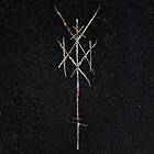 Wiegedood: There's always blood at the end... (Vinyl)