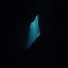 Balam Acab: Wander / Wonder