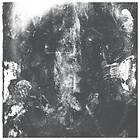 Rotting Sky: Sedation (Vinyl)
