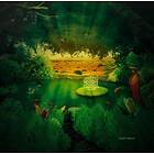 Green Desert Water: Solar Plexus (Vinyl)