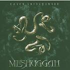 Meshuggah: Catch 33