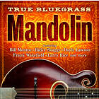 True Bluegrass Mandolin CD