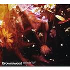 Brownswood Electric 2