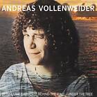 Vollenweider Andreas: Behind The Gardens Wall LP