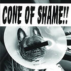 Faith No More: Cone Of Shame (Vinyl)