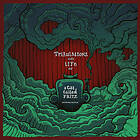 A Cat Called Fritz: Remixes Tribulations And... (Vinyl)