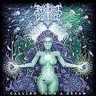 Inanimate Existence: Calling From A Dream CD