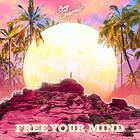 Big Gigantic: Free Your Mind (Vinyl)