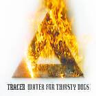 Tracer: Water For Thirsty Dogs CD