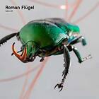 Flugel Roman: Fabric 95 CD