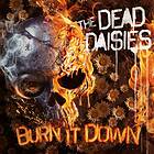 Dead Daisies: Burn it down (Picturedisc) (Vinyl)