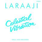 Laraaji: Celestial Vibration CD