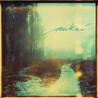 Aukai: Aukai (Vinyl)