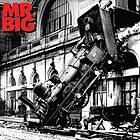 Mr Big: Lean Into It (Vinyl)