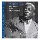 Leadbelly: The Essential Blue Archive