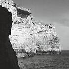 Tonight Will Be Fine: Elephant Island (Vinyl)