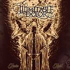 Illimitable Dolor: Leaden Light CD