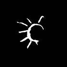 Pain Of Salvation: In the passing light... 2017 CD
