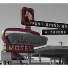 Trond Svendsen & Tuxedo: Palomino Motel