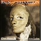 Pain Of Salvation: One hour by concrete lake -98