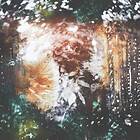 Sylvaine / Unreqvited: Time Without End CD