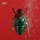 Steffi: Fabric 94 CD