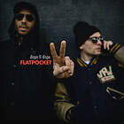 Flatpocket: Dispo II Dispo (Vinyl)