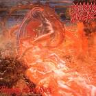 Morbid Angel: Blessed Are The Sick (FDR) CD