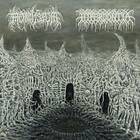 Hyperdontia/Mortiferum: Split (Vinyl)