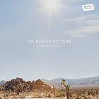 Downes Stee: Bigger Picture CD