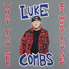 Combs Luke: What you see is what you get (Vinyl)