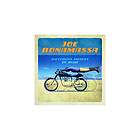Bonamassa Joe: Different Shades Of Blue CD