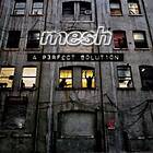 Mesh: A Perfect Solution CD