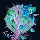 Karjalainen Hannu: A Handful Of Dust Is A Desert (Vinyl)