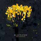 Blaenavon: That's Your Lot CD