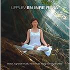 Upplev En Inre Resa (Pier Federici Alexandre)
