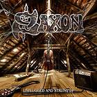 Saxon: Unplugged and strung up 2013