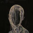 Lapaj Michal: Are You There (Ltd) CD