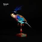 Raresh: Pabric 78 CD